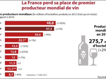 2023 : La France détrône l’Italie sur le trône du vin, malgré un décor de défis et de drames ! 2023 : la france détrône l’italie sur le trône du vin, malgré un décor de défis et de drames !
