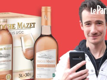 Crisis Rosé: Quand le Vin de Provence Perd sa Couleur – L’Injuste Baisse de Rendements qui Bouleverse l’Industrie crisis rosé: quand le vin de provence perd sa couleur – l’injuste baisse de rendements qui bouleverse l’industrie