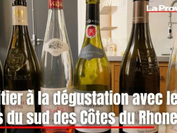 Découvrez le Secret des Vignobles Alain Jaume: Vin Rouge Côtes du Rhône Bio à moins de 8 euros ! découvrez le secret des vignobles alain jaume: vin rouge côtes du rhône bio à moins de 8 euros !