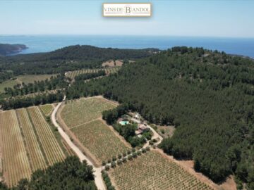 Dégustez l’Automne en Provence: Fascinant Week-end de Vins, Fêtes et Mystères du 19 au 22 Octobre dégustez l’automne en provence: fascinant week end de vins, fêtes et mystères du 19 au 22 octobre