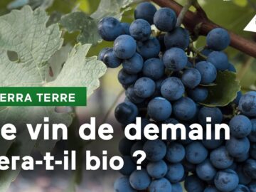 Guide complet du vin en conversion biologique guide complet du vin en conversion biologique
