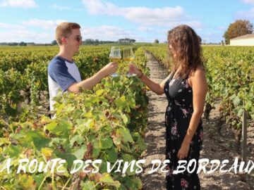 Découvrez la Route des Vins Graves et Sauternes: Une Aventure Éco-Responsable à la Découverte des Trésors de Bordeaux! découvrez la route des vins graves et sauternes: une aventure Éco responsable à la découverte des trésors de bordeaux!