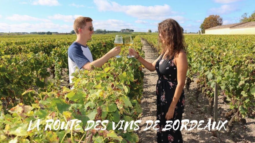 Découvrez la Route des Vins Graves et Sauternes: Une Aventure Éco-Responsable à la Découverte des Trésors de Bordeaux! découvrez la route des vins graves et sauternes: une aventure Éco responsable à la découverte des trésors de bordeaux!
