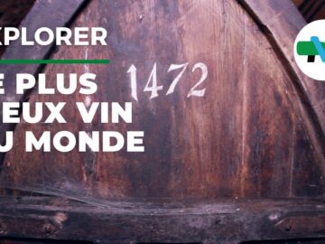 Défi Immortel en Gironde: la Quête du Vin Rouge capable de Battre les 220 ans d’Histoire! défi immortel en gironde: la quête du vin rouge capable de battre les 220 ans d’histoire!
