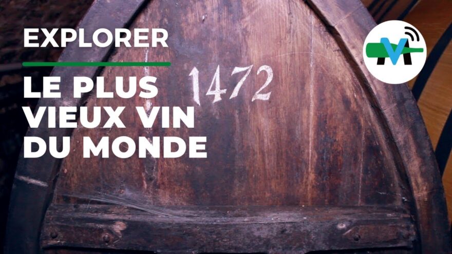 Défi Immortel en Gironde: la Quête du Vin Rouge capable de Battre les 220 ans d’Histoire! défi immortel en gironde: la quête du vin rouge capable de battre les 220 ans d’histoire!