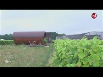 Dormir dans un Tonneau de Vin en Bourgogne: L’Expérience Insolite qui Éveille vos Sens au Domaine Joseph Lafarge dormir dans un tonneau de vin en bourgogne: l’expérience insolite qui Éveille vos sens au domaine joseph lafarge