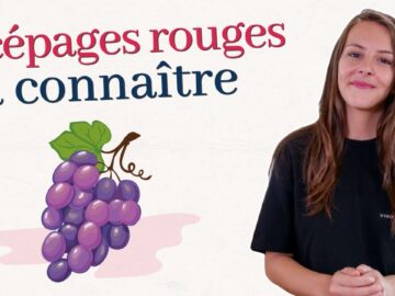 Vin Rouge: Comment reconnaître un cru de qualité ? vin rouge: comment reconnaître un cru de qualité ?