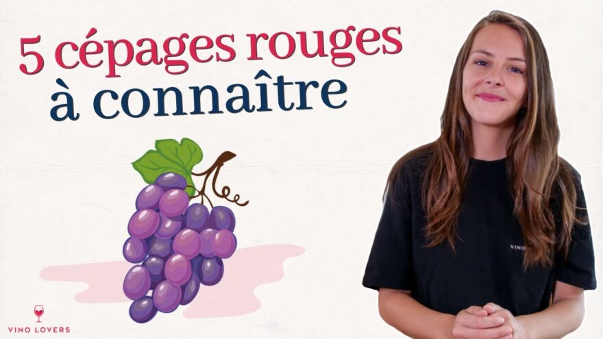 Vin Rouge: Comment reconnaître un cru de qualité ? vin rouge: comment reconnaître un cru de qualité ?