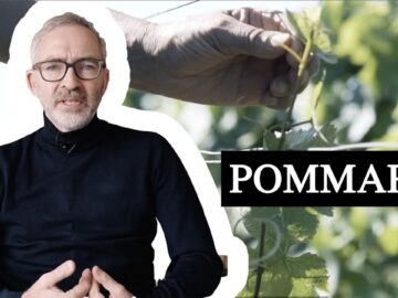 Découvrez le Pommard 2021 de Nuiton-Beaunoy : le plaisir de la Bourgogne à prix doux ! découvrez le pommard 2021 de nuiton beaunoy : le plaisir de la bourgogne à prix doux !