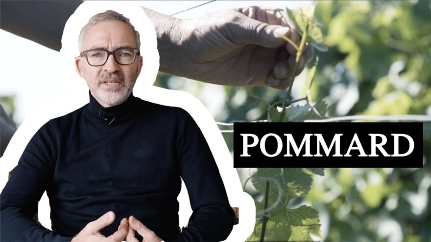 Découvrez le Pommard 2021 de Nuiton-Beaunoy : le plaisir de la Bourgogne à prix doux ! découvrez le pommard 2021 de nuiton beaunoy : le plaisir de la bourgogne à prix doux !