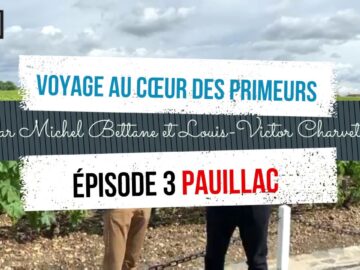 Qu’est-ce qui rend le vin Pauillac unique ? qu’est ce qui rend le vin pauillac unique ?