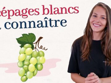 Vin blanc : guide complet pour les amateurs vin blanc : guide complet pour les amateurs