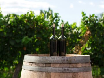 Vins d’investissement et spiritueux rares : comment diversifier sa cave pour un placement rentable ? Vins d’investissement