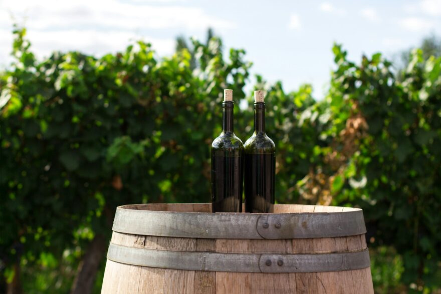 Vins d’investissement